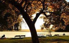 Balatonfűzfő