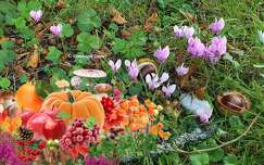 Automne