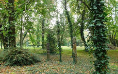 Park, Ősz, Papkeszi, Colorkémia