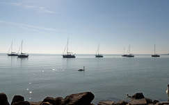 Balaton, Balatonalmádi, Magyarország, tó, vitorlás