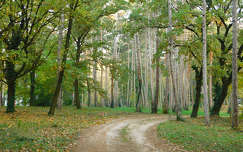Balatonfűzfő