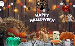 Happy Halloween - Création Domi