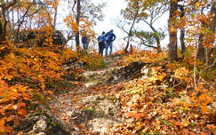 Balaton-felvidék, Zádor-vár