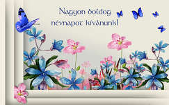 grafika