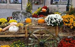 Automne à Orléans - Loiret - France