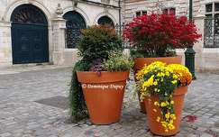 Automne à Orléans - Loiret - France