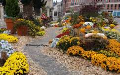Automne à Orléans - Loiret - France