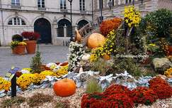 Automne à Orléans - Loiret - France