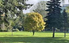 Zalaegerszeg