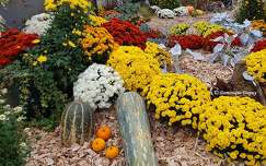 L'automne