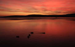 Balatonfűzfő