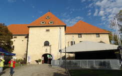 Szerencs, Vár