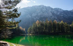 Grüner See