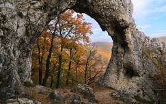 Vaskapu, Pilis