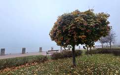 Balatonkenese