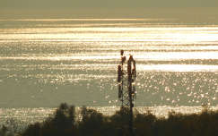 Ragyogó Balaton