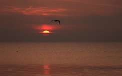 Balatonalmádi