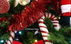 Sapin de Noël