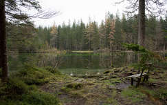 Kreuzteich, Ausztria