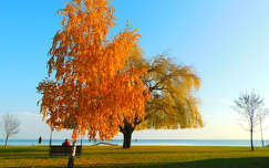 Balatonalmádi - strand