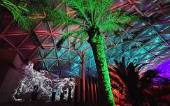 Biodom