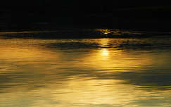 Aranyló Balaton