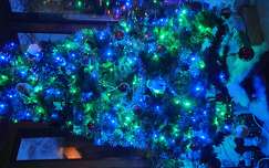 Sapin de Noël