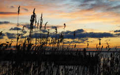 Balaton, Almádi, Napkelte