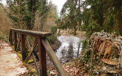 Kámoni Arborétumban - Szombathely