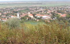 Tarcal,Magyarország