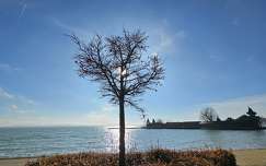 balaton magyarország tó keszthely fa