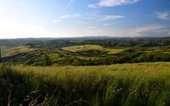 Olaszország, Toscana