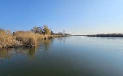 Holt Tisza