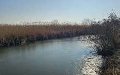 Holt Tisza befolyó