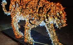 Lumina Park, Budapest, Margitsziget, fények, tigris