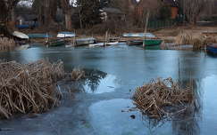 Jeges pillanat Balatonfűzfőn.