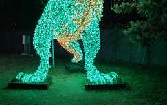 Lumina Park, Budapest, Margitsziget, fények, T-Rex, dinoszaurusz