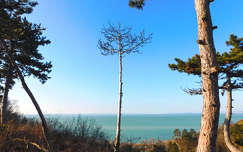 Balatonakarattya