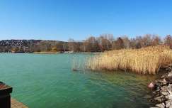 Balatonalmádi