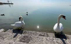 Balatonalmádi