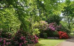 Parc Floral d'Olivet - Loiret - France