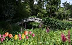 Pont du Parc Floral d\'Olivet - Loiret - France 