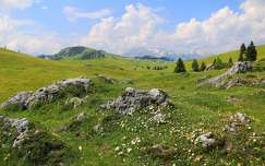 Velika Planina, Szlovénia