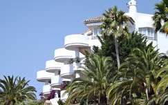 spanyolország marbella pálma