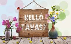 tavasz, grafika