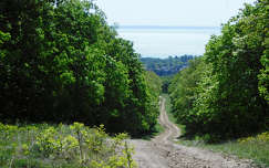 Balaton, Balatonfűzfő
