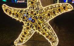 Lumina Park, Budapest, Margitsziget, fények, tengeri csillag