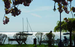 Balaton, Alsóőrs
