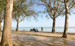 Balatonfüred, Tagore sétány és emlékfa park