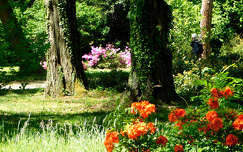 Szombathely, Kámoni arborétum